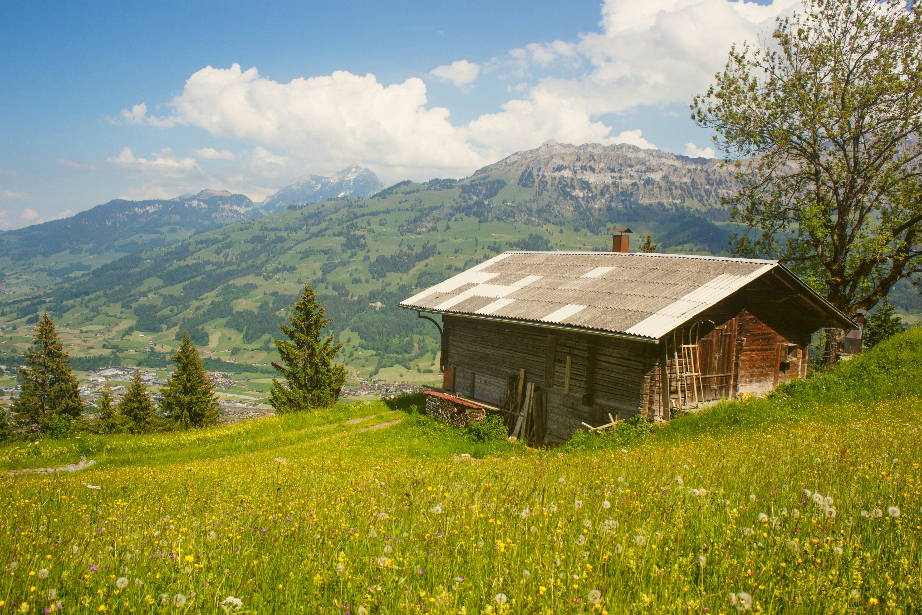 brown cabin surrounded by grass and trees